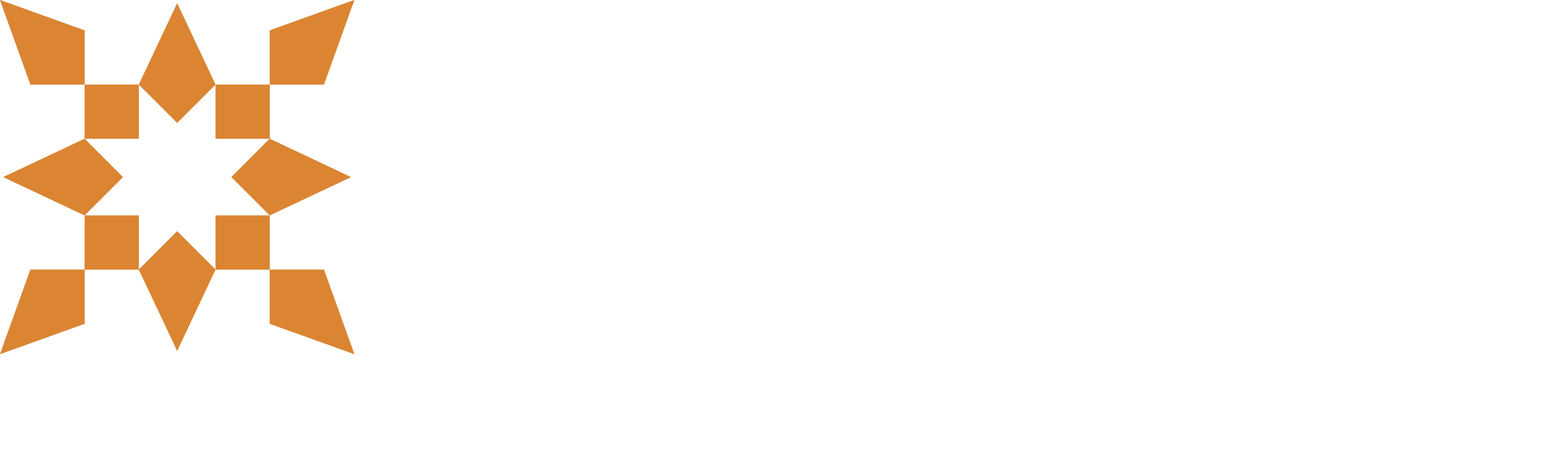 Nice Logo